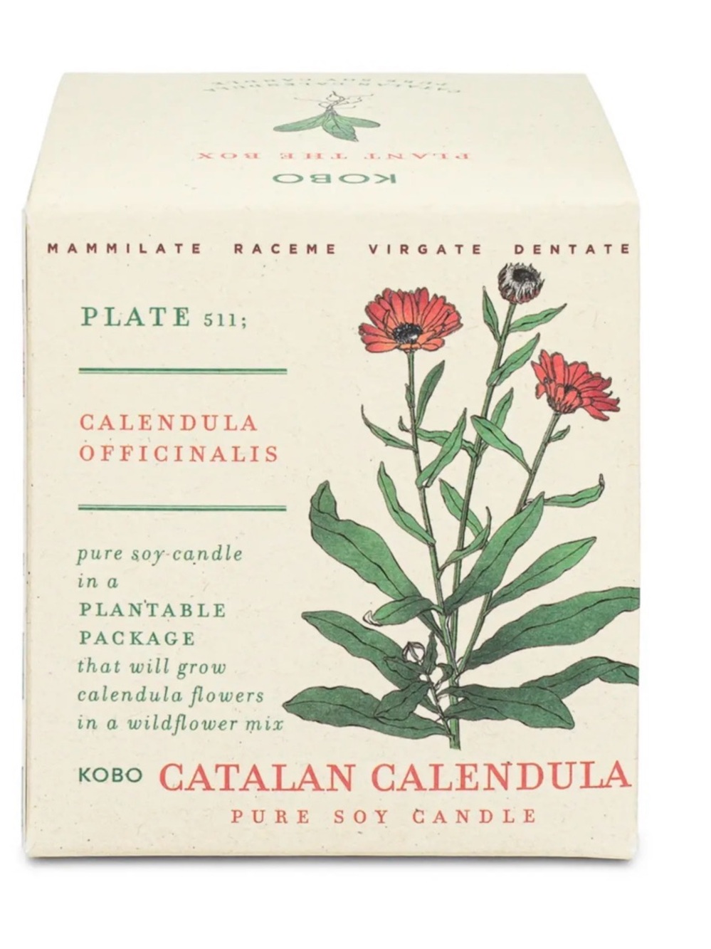 KOBO NIB Catalan Calendula candle
